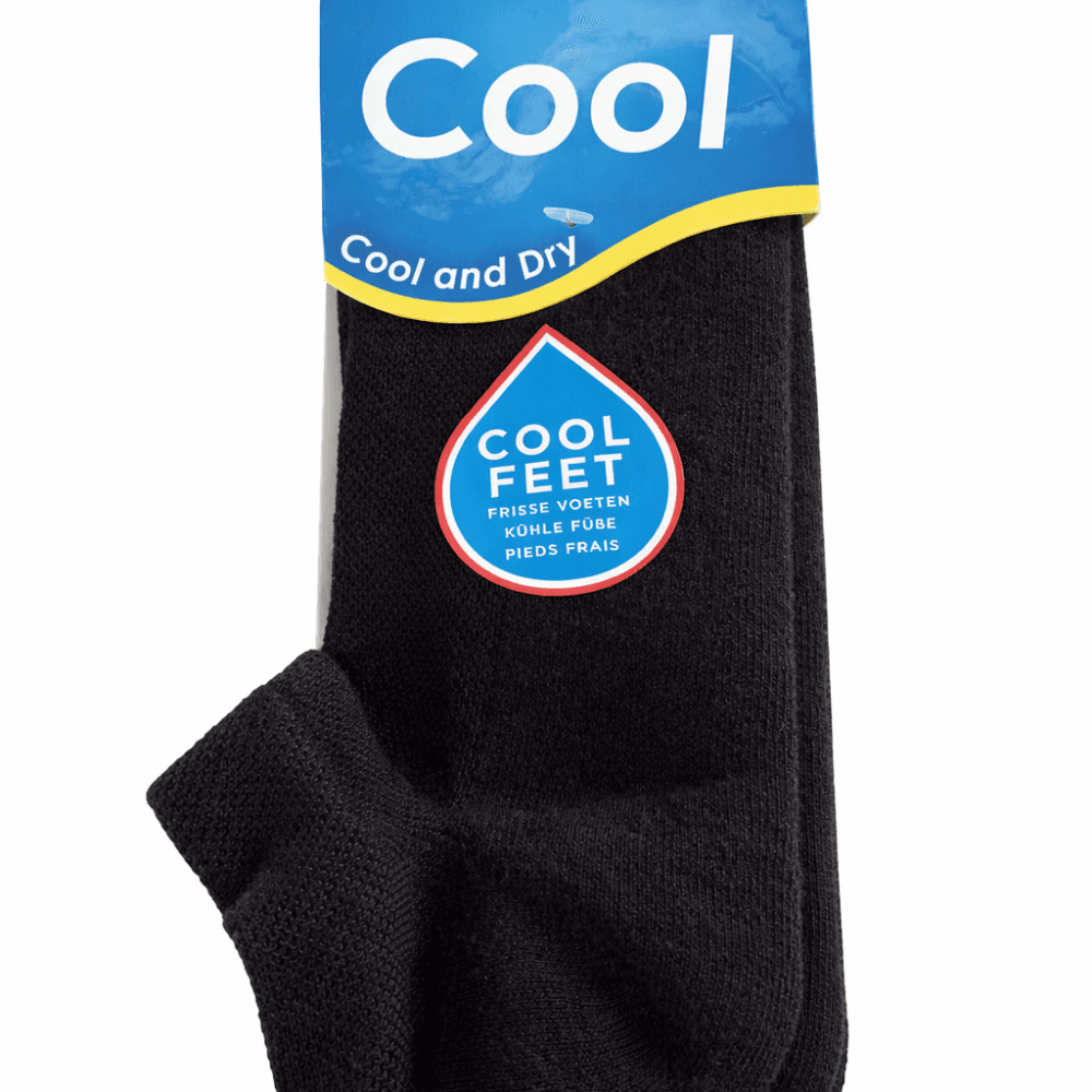 Scholl Cool & Dry