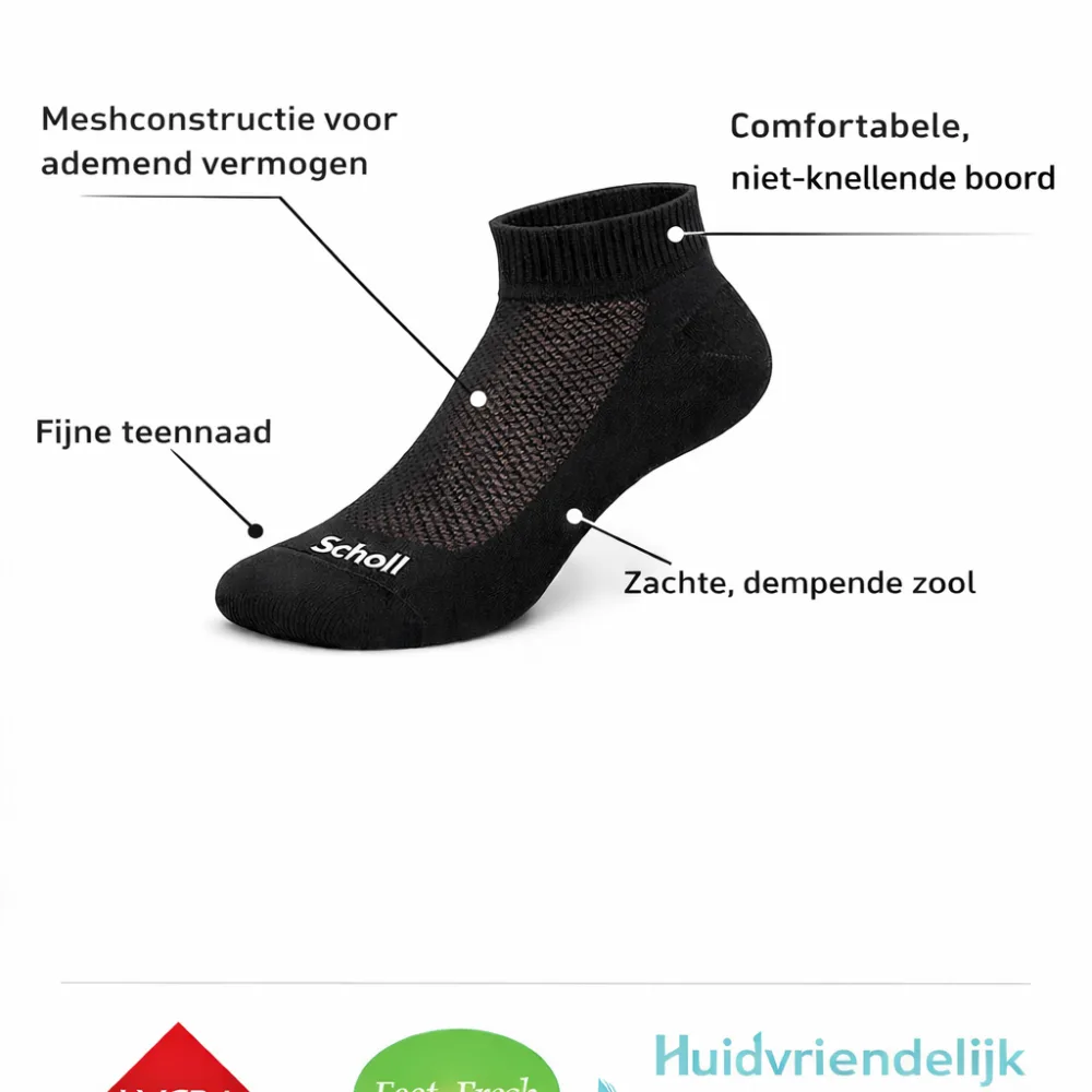 Scholl